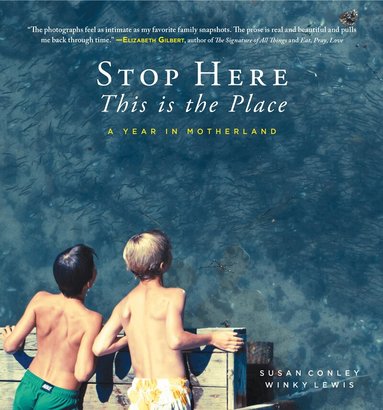 Susan Conley - Stop Here, This is the Place, Inbunden