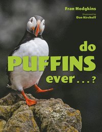 bokomslag Do Puffins Ever . . .?