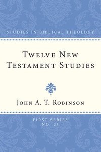 bokomslag Twelve New Testament Studies