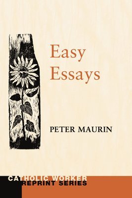 bokomslag Easy Essays