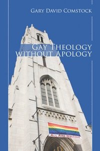 bokomslag Gay Theology without Apology