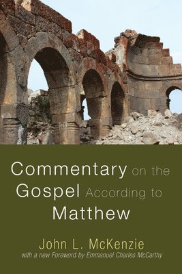 bokomslag Commentary on the Gospel According to Matthew