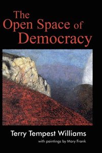 bokomslag The Open Space of Democracy