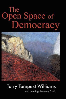 The Open Space of Democracy 1