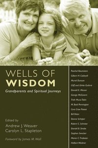 bokomslag Wells of Wisdom