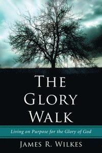 bokomslag The Glory Walk
