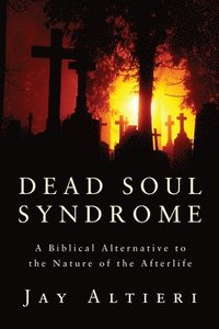 bokomslag Dead Soul Syndrome