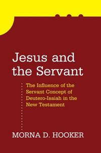 bokomslag Jesus and the Servant