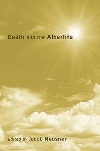 bokomslag Death and the Afterlife