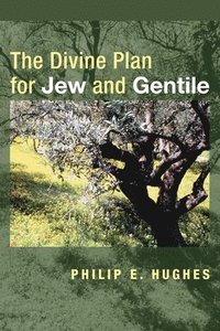 bokomslag The Divine Plan for Jew and Gentile