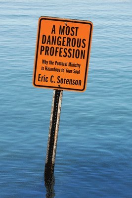 bokomslag Most Dangerous Profession