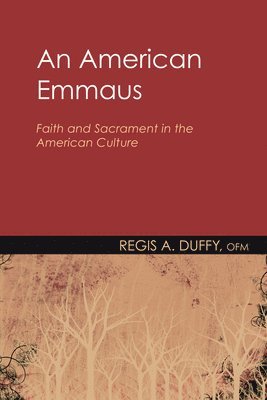 bokomslag An American Emmaus