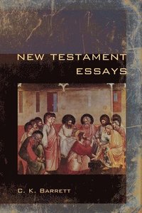 bokomslag New Testament Essays