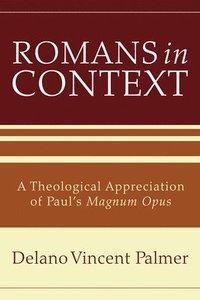 bokomslag Romans in Context