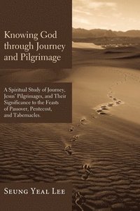 bokomslag Knowing God through Journey and Pilgrimage