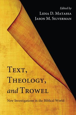 Lidia D. Matassa, Jason M. Silverman - Text, Theology, and Trowel, Häftad