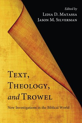 bokomslag Text, Theology, and Trowel