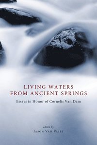 bokomslag Living Waters from Ancient Springs