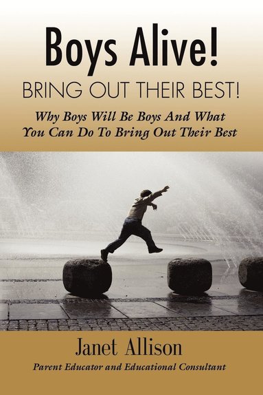 bokomslag Boys Alive! Bring Out Their Best! Why 'boys Will be Boys' and How You Can Guide Them to be Their Best at Home and at School.