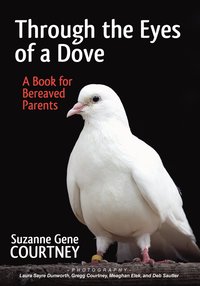 bokomslag Through the Eyes of a Dove