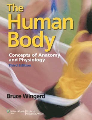 bokomslag The Human Body