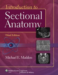 bokomslag Introduction to Sectional Anatomy