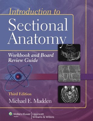 Introduction to Sectional Anatomy Workbook and Board Review Guide 1