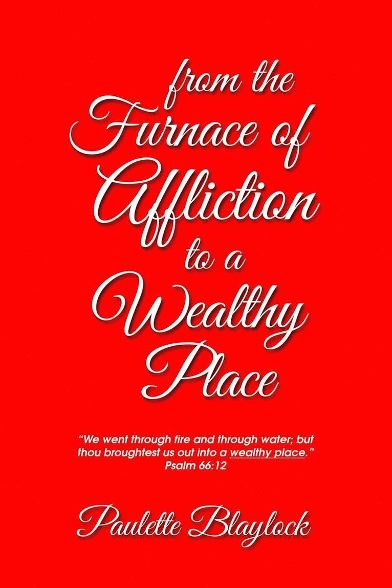 Paulette Blaylock - From the Furnace of Affliction to a Wealthy Place, Häftad