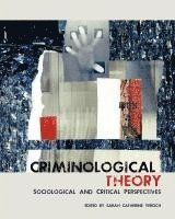bokomslag Criminological Theory