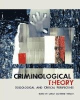 Criminological Theory: Sociological and Critical Perspectives 1