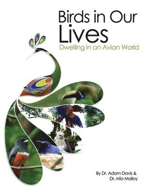 Adam Davis, Mia Malloy - Birds in Our Lives, Häftad