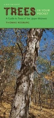 bokomslag Trees in Your Pocket