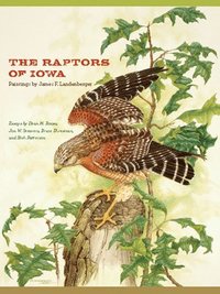 bokomslag The Raptors of Iowa