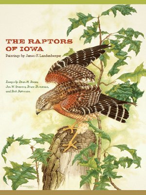 bokomslag The Raptors of Iowa