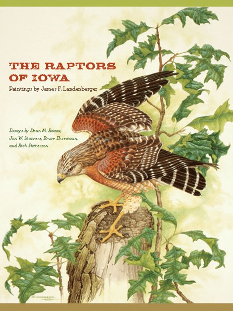 Dean M. Roosa, Jon W. Stravers, Bruce Ehresma, Rich Patterson - Raptors of Iowa, Häftad