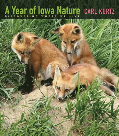 bokomslag Year of Iowa Nature