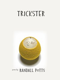 bokomslag Trickster