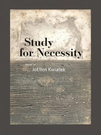 bokomslag Study for Necessity