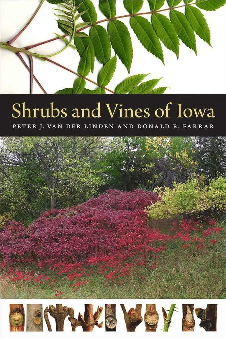 Peter J. van der Linden, Donald R. Farrar, Peter J. Van Der Linden, Peter J. van der Linden - Shrubs and Vines of Iowa, Häftad