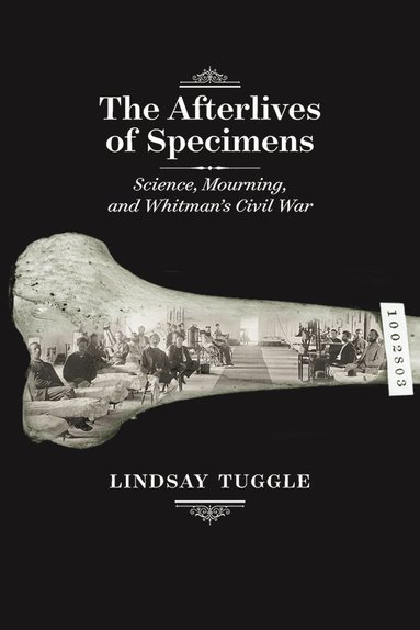 bokomslag Afterlives of Specimens