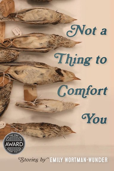 bokomslag Not a Thing to Comfort You