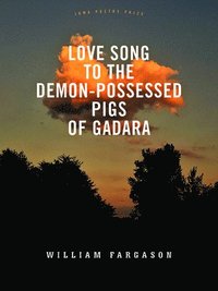 bokomslag Love Song to the Demon-Possessed Pigs of Gadara
