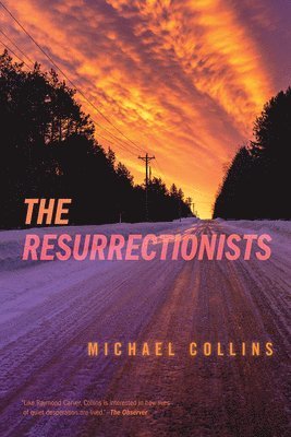 bokomslag Resurrectionists