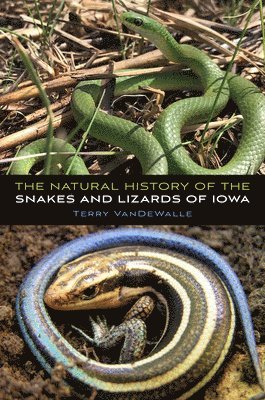 bokomslag Natural History of the Snakes and Lizards of Iowa