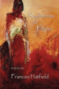 bokomslag Rudiments of Flight