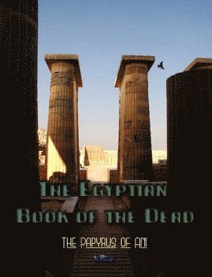 bokomslag The Egyptian Book of the Dead