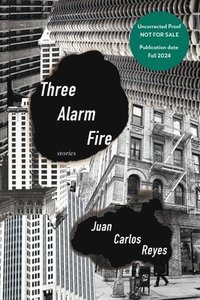 bokomslag Three Alarm Fire