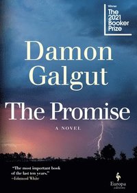 bokomslag The Promise: A Novel (Booker Prize Winner)
