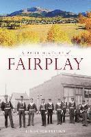 bokomslag A Brief History of Fairplay
