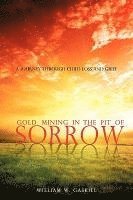 Gold Mining in the Pit of Sorrow 1